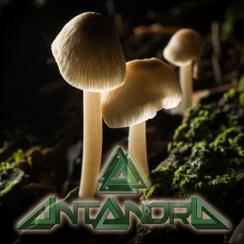 Numatik – Gaia Unfolding (Antandra Remix) [Free Download!]